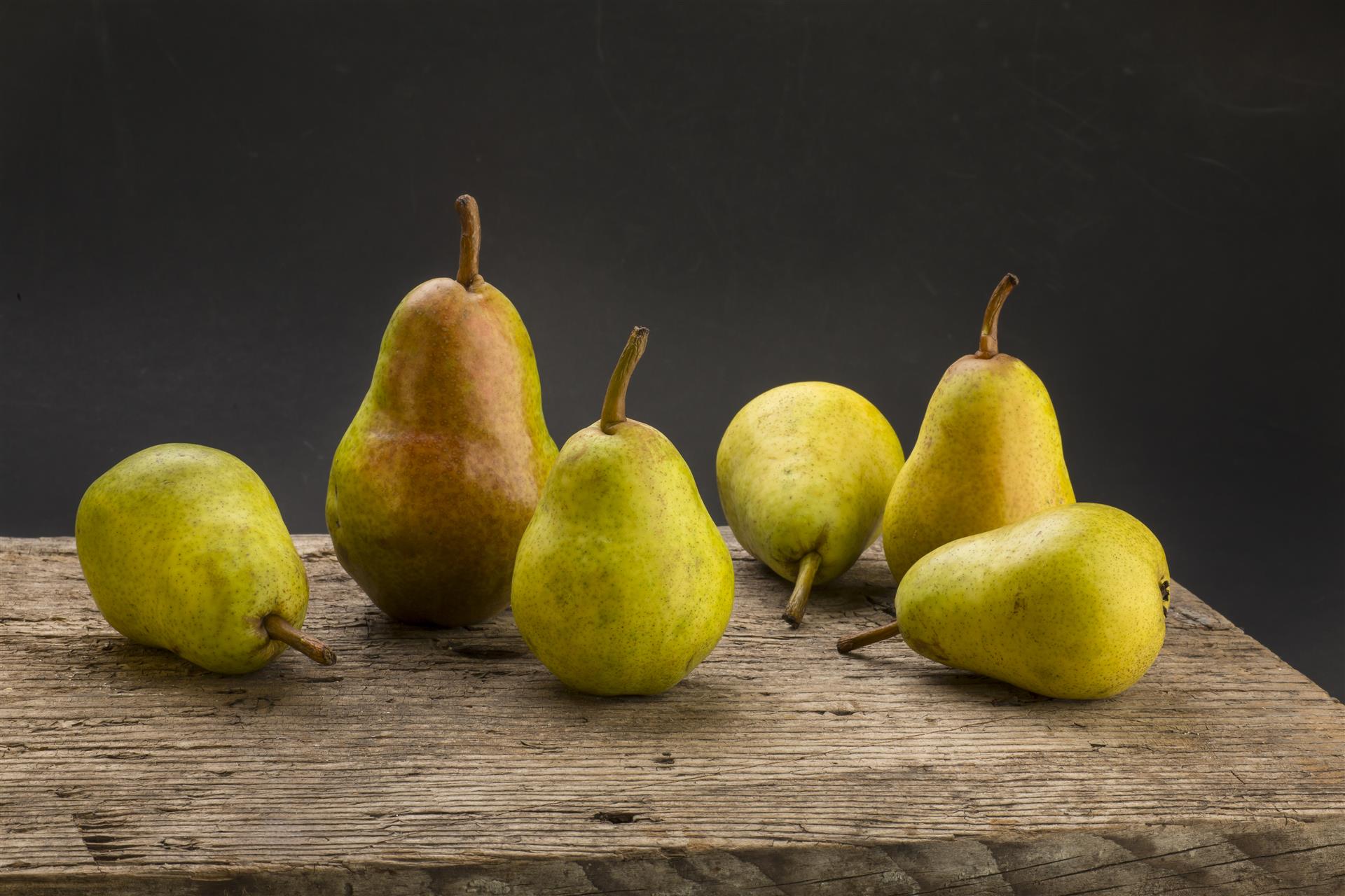 Louis Morand Sa 4256 Photo Rhofer