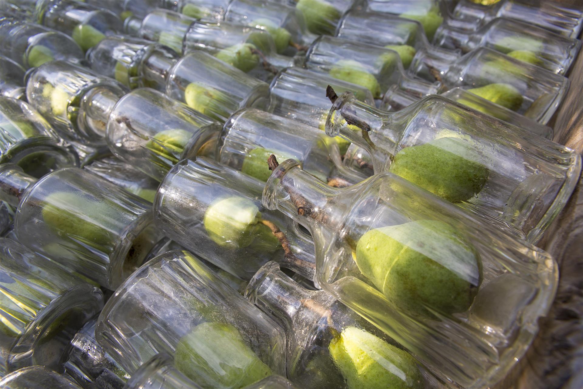 Louis Morand Sa 8824 Photo Rhofer