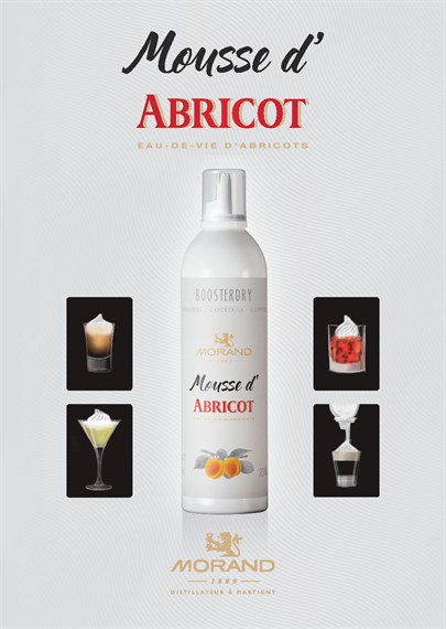 Mousse Abricot A5 Page 001